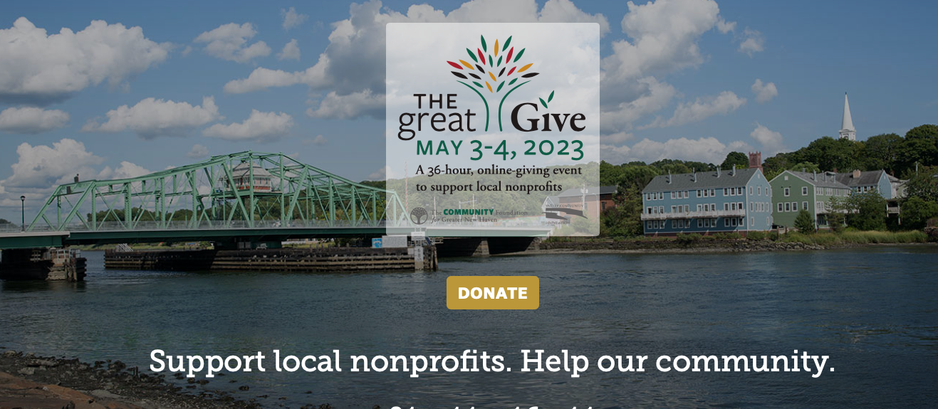 Great Give Gets Going - Vimarsana News